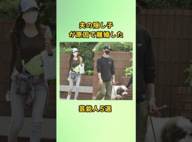 夫の隠し子が原因で離婚した芸能人5選#shorts