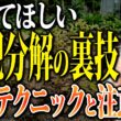 すき込み直後の定植は失敗の元！緑肥の分解期間を短縮するカルスの活用法【家庭菜園 土づくり ガーデニング カルスNC-R】