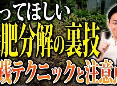 すき込み直後の定植は失敗の元！緑肥の分解期間を短縮するカルスの活用法【家庭菜園 土づくり ガーデニング カルスNC-R】