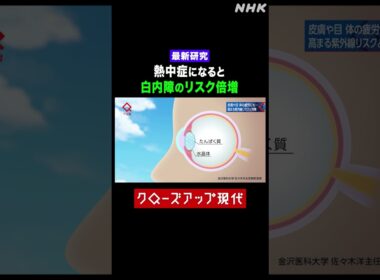 【最新研究】熱中症になると白内障のリスクが２倍に！【クロ現】| NHK | #shorts