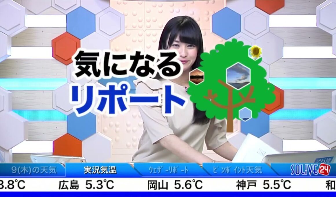 SoLiVE24 2017年2月8日（水）23000500