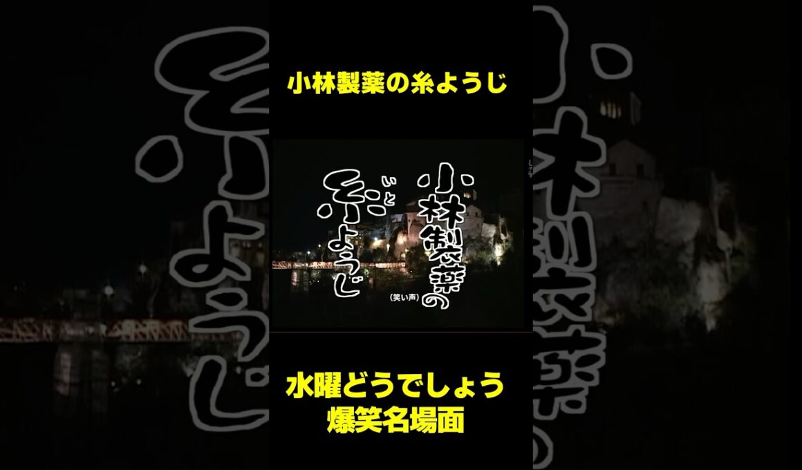 モノマネ「小林製薬の糸ようじ」　#水曜どうでしょう　#shorts  #お笑い #爆笑 #大泉洋