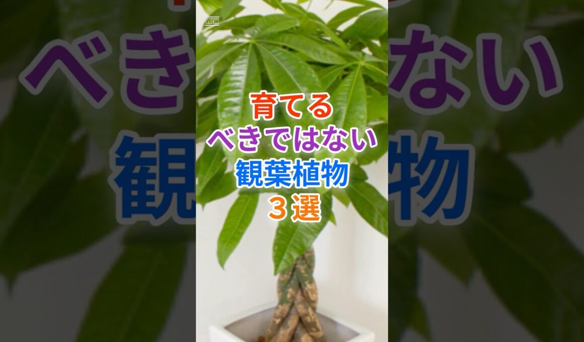 実は育てると後悔してしまう...！