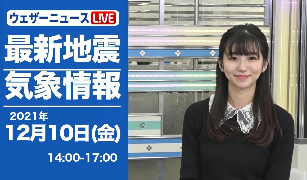 🦔のんちゃん #005　2021年12月10日アフターヌーン