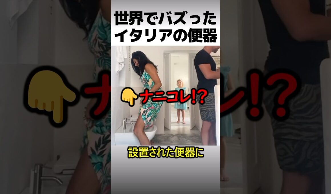 世界でバズったイタリア式便器
