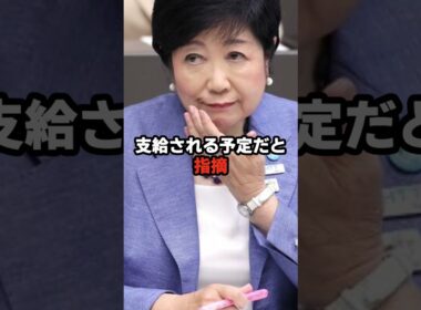 小池百合子の給与カットの大嘘がバレて大恥をかいてしまったと話題にw #小池都知事 #小池百合子 #都議会 #カイロ大学 #政治ニュース #学歴詐称疑惑 #高市早苗 #さとうさおり #shorts