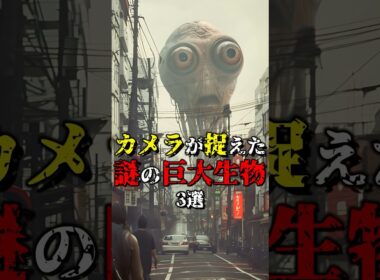 カメラが捉えた謎の巨大生物3選 part3 #都市伝説 #雑学 #怖い話 #shorts