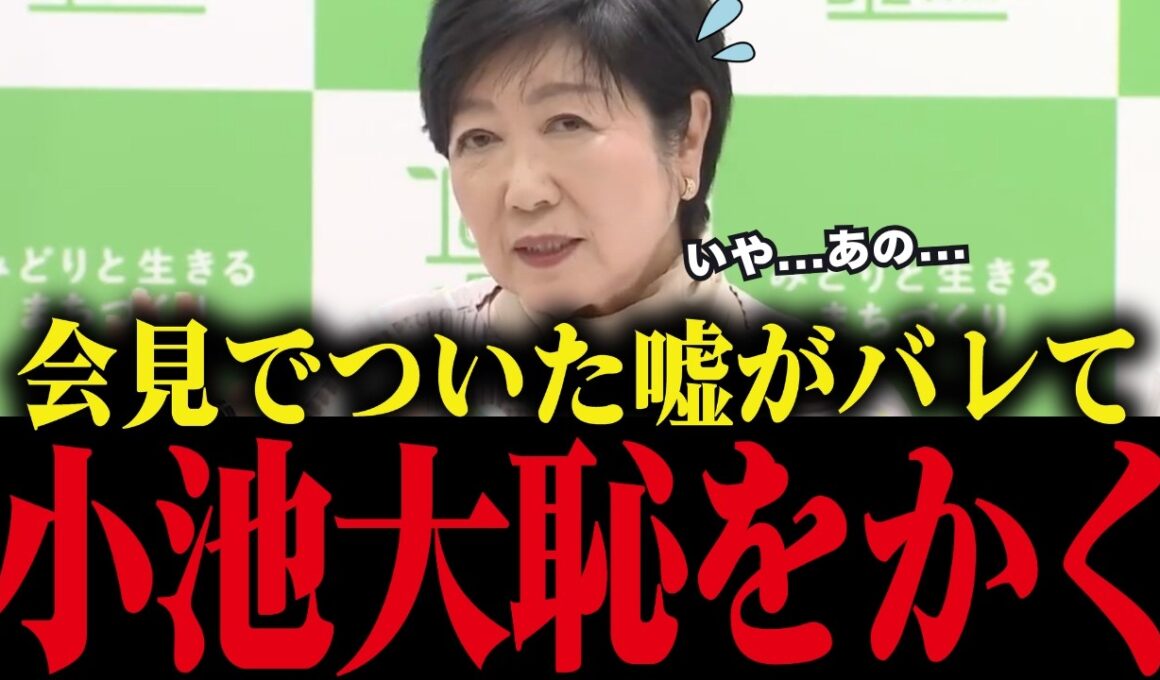 【小池百合子】小池、会見でついた嘘を専門家に暴かれ大恥をかく！【小池都知事 さとうさおり 都議会 カイロ大学 学歴詐称疑惑】