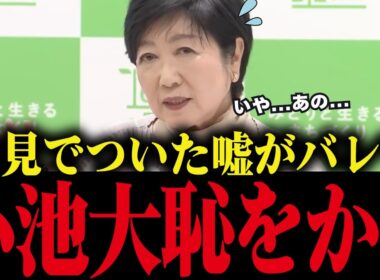 【小池百合子】小池、会見でついた嘘を専門家に暴かれ大恥をかく！【小池都知事 さとうさおり 都議会 カイロ大学 学歴詐称疑惑】