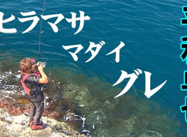 平和卓也が夏磯で狙うヒラマサ！兵庫県でマダイ、グレなど多彩な魚との出会いを楽しむ『磯を駆ける 87』【釣りビジョン】