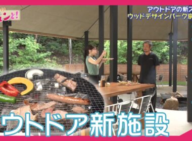 【キャンプ好き必見！】ウッドデザインパーク京都-彩-／おでかけキュンと！