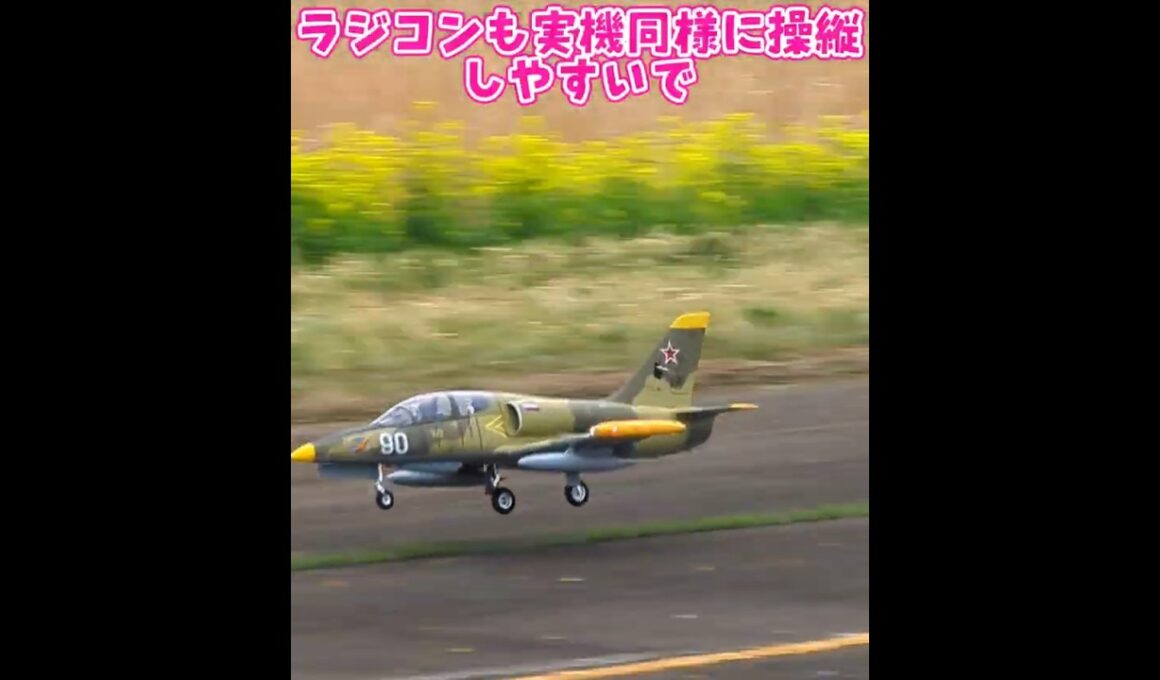 着陸するL-39 Albatross #ラジコン飛行機