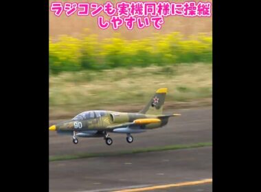 着陸するL-39 Albatross #ラジコン飛行機