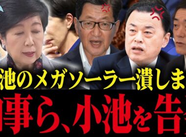 ※小池百合子のメガソーラー計画、知事会が国に廃止を要請！遂に逃げ場がなくなる小池【小池都知事 さとうさおり 都議会 カイロ大学 学歴詐称疑惑】