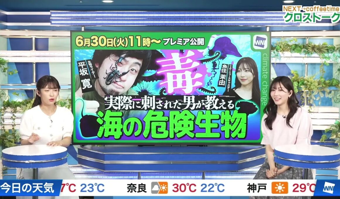 【魚住茉由】【山岸愛梨】クロストーク（260630 ウェザーニュースLiVE SunShine → ウェザーニュースLiVE CoffeeTime）