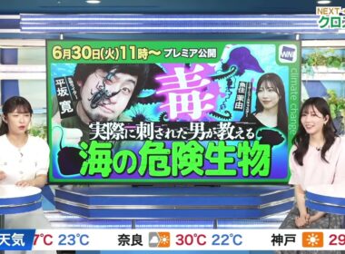 【魚住茉由】【山岸愛梨】クロストーク（260630 ウェザーニュースLiVE SunShine → ウェザーニュースLiVE CoffeeTime）