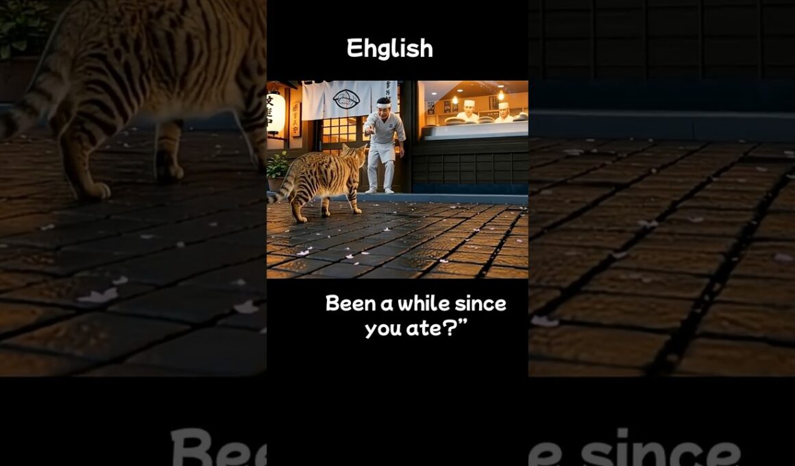 猫から学ぶ英会話＃１５　Learn English
