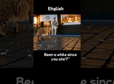 猫から学ぶ英会話＃１５　Learn English