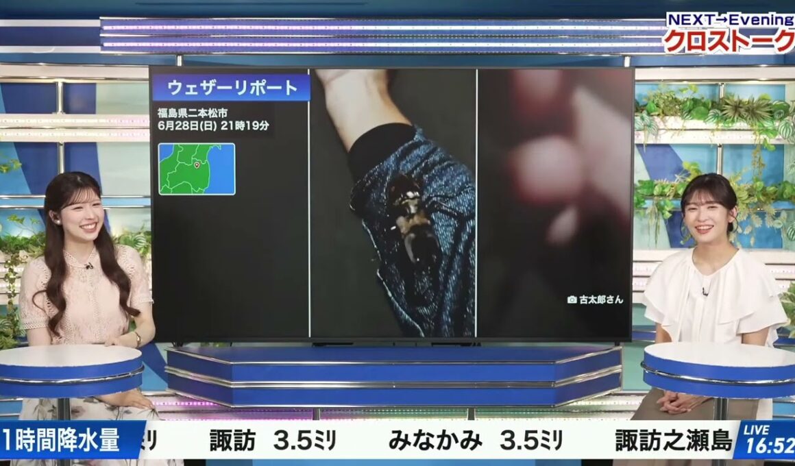 【山岸愛梨】【小林李衣奈】クロストーク（260629 ウェザーニュースLiVE Afternoon → ウェザーニュースLiVE Evening）