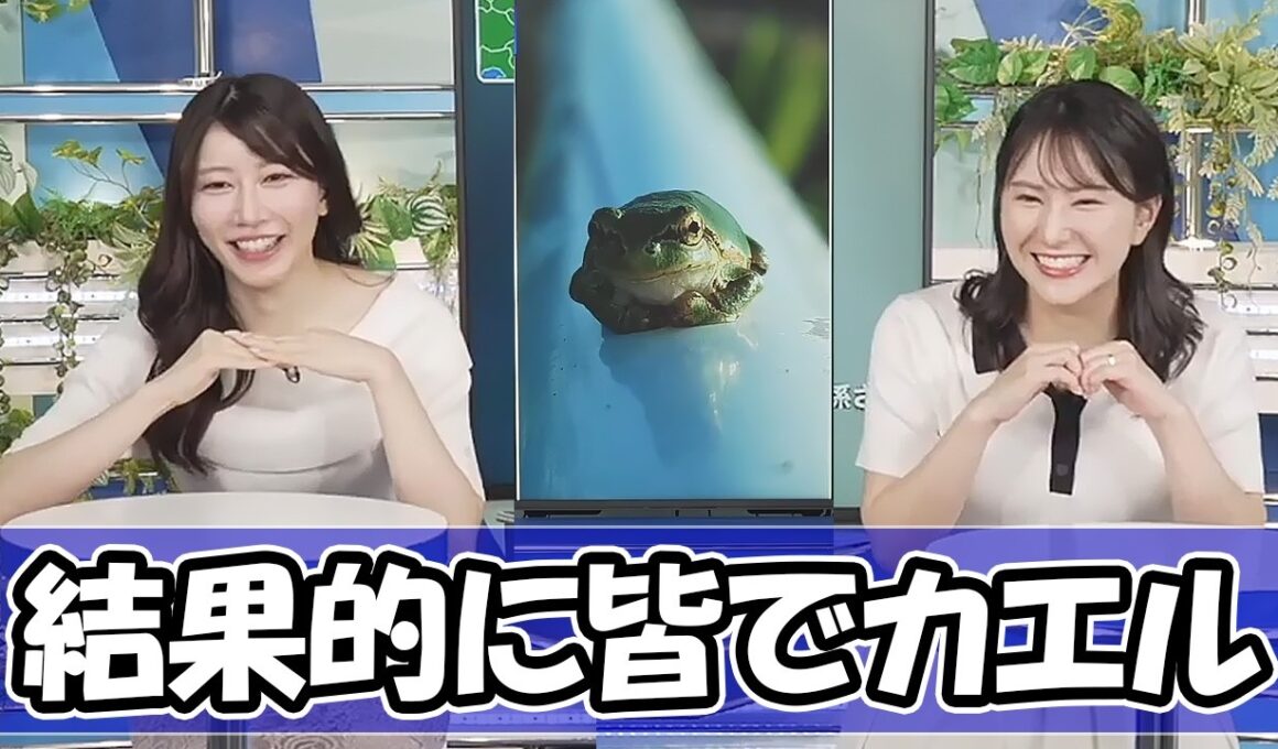 【ウェザーニュース】結果的にみんなカエルになっちゃう〈白井ゆかり・魚住茉由〉