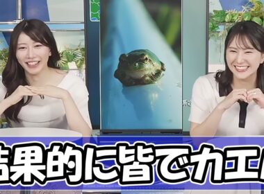 【ウェザーニュース】結果的にみんなカエルになっちゃう〈白井ゆかり・魚住茉由〉
