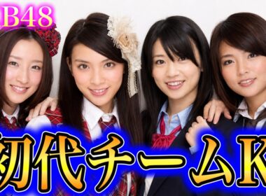 【昔と今】2000年代AKB48 初代チームKの若い頃と現在