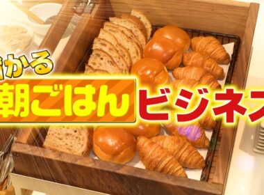 『がっちりマンデー!!』朝ごはんビジネス! 朝ロイホが食べ放題! 岐阜は超巨大モーニング! 7/19(日)【TBS】