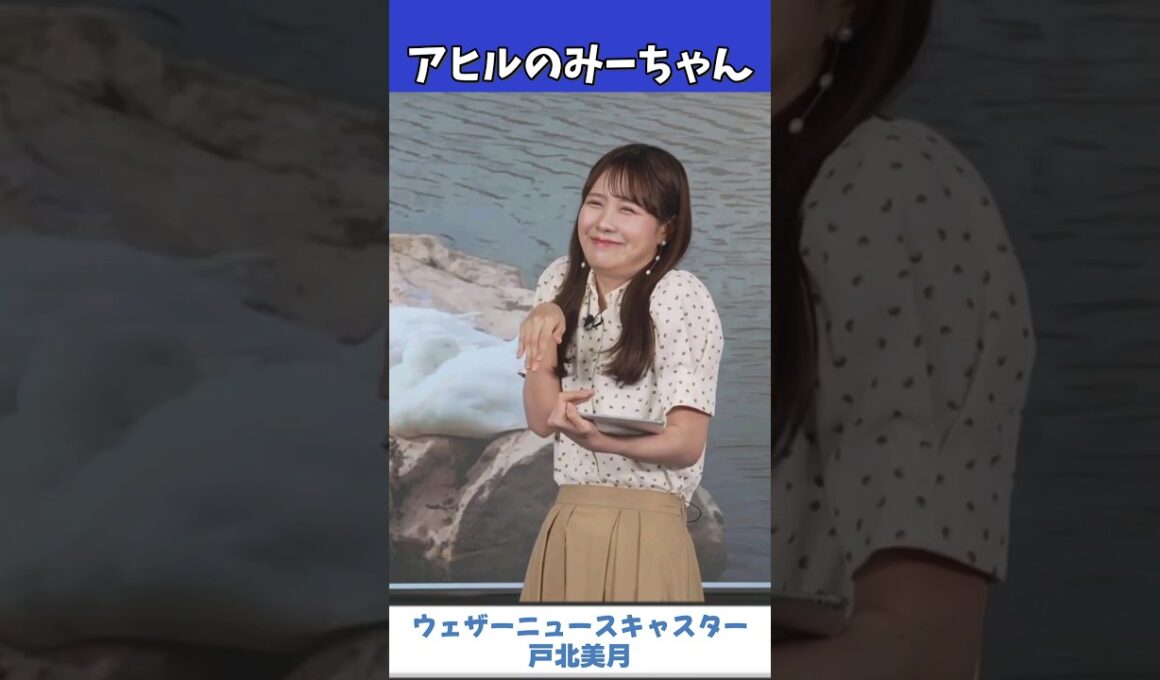 【戸北美月】みーちゃんアヒルになる【ウェザーニュース切り抜き】