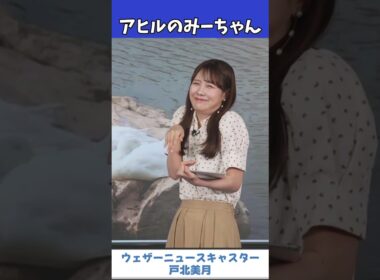 【戸北美月】みーちゃんアヒルになる【ウェザーニュース切り抜き】