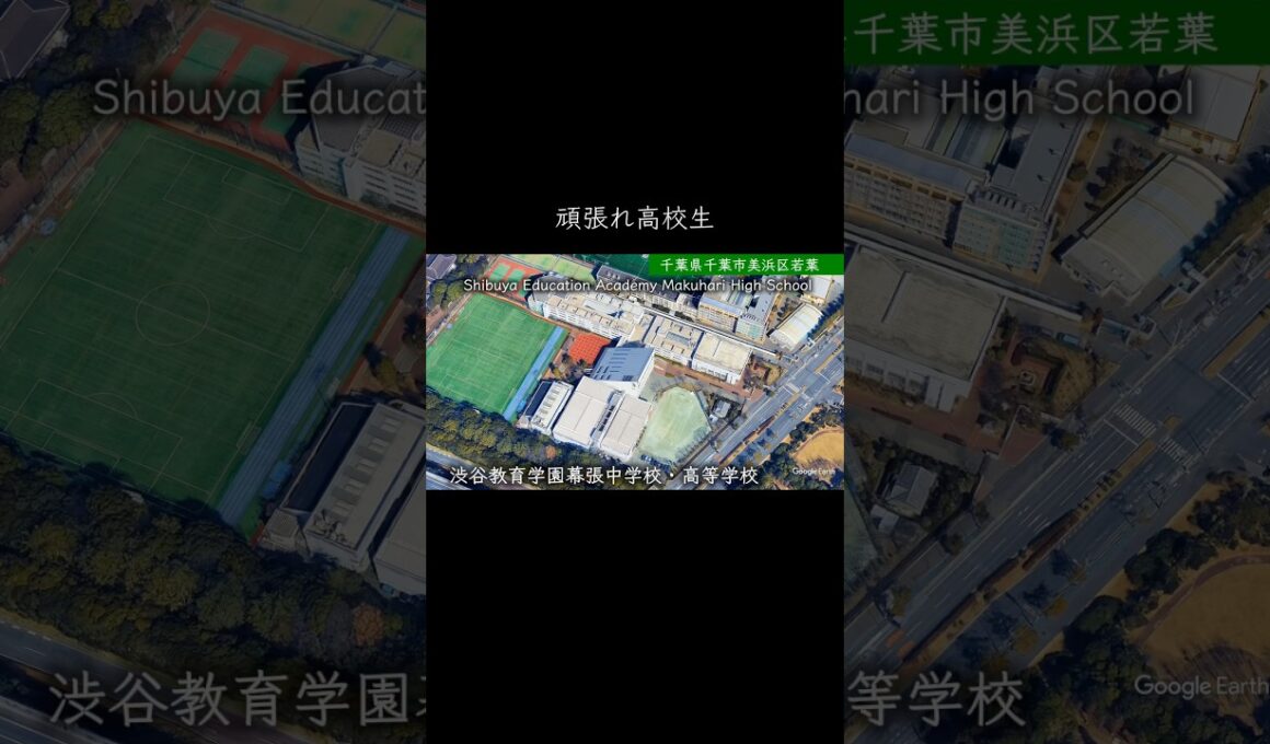 【千葉】渋谷教育学園幕張高校 #学校紹介 #中学受験 #高校受験 #名門校