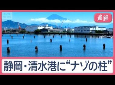 神社に“謎の球体”海岸にも？　ミステリー…石を飲み込む木　街のフシギ調査隊【Jの追跡】【スーパーJチャンネル】(2026年7月11日)