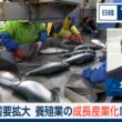 世界で需要拡大　養殖業の成長産業化は可能か【日経モープラFT】