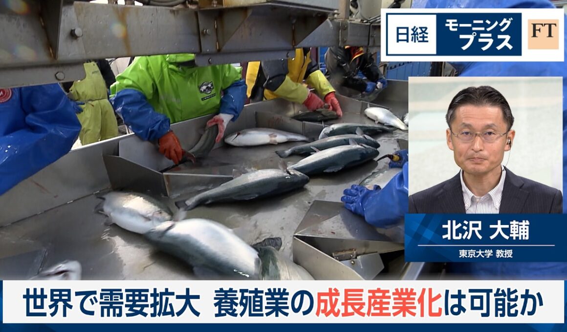 世界で需要拡大　養殖業の成長産業化は可能か【日経モープラFT】