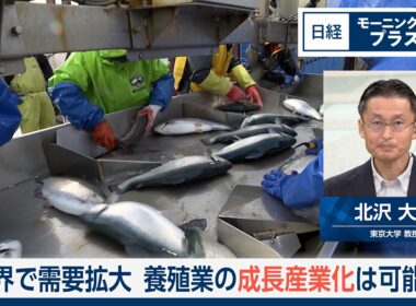 世界で需要拡大　養殖業の成長産業化は可能か【日経モープラFT】