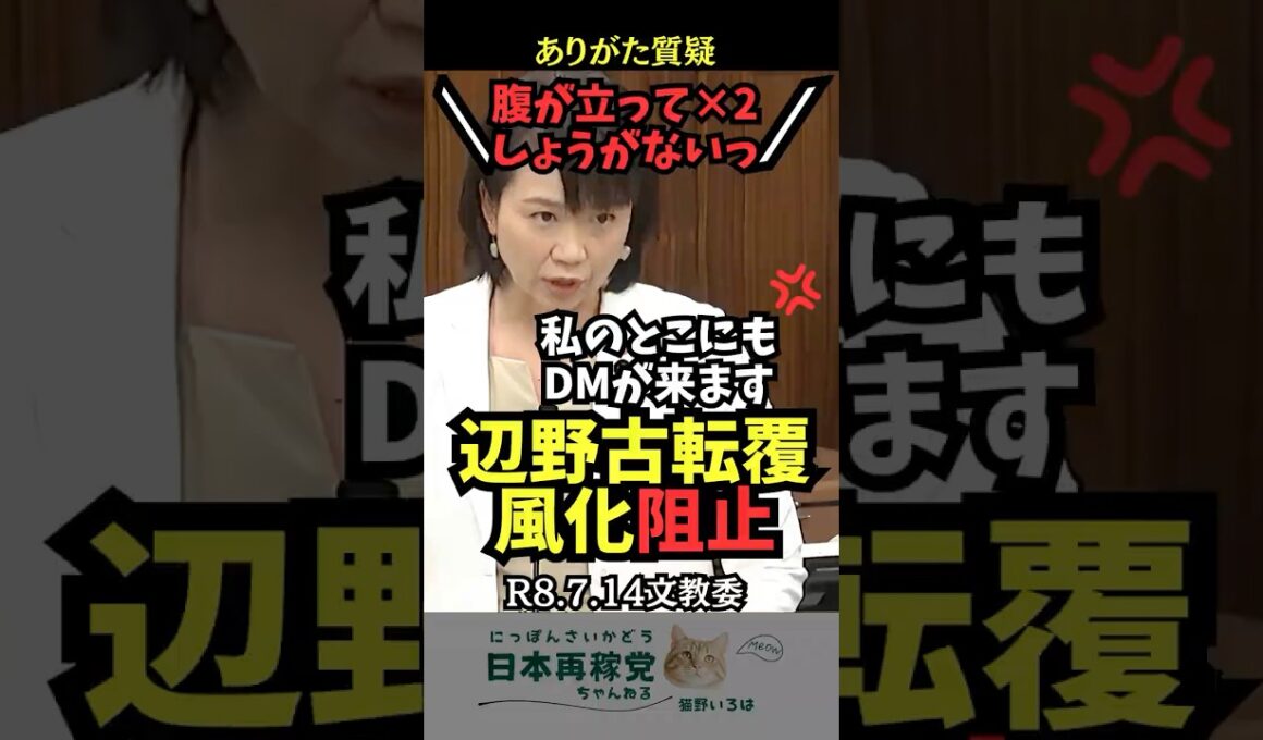 【辺野古問題】文教委で腹が立った伊藤議員のその心情がこちら　 #辺野古