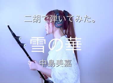 【二胡で弾いてみた。】中島美嘉／雪の華