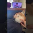 井上あさひさんと