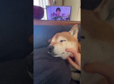 井上あさひさんと