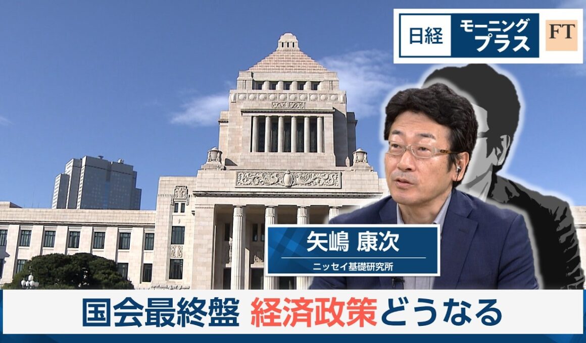 国会最終盤　経済政策どうなる【日経モープラFT】