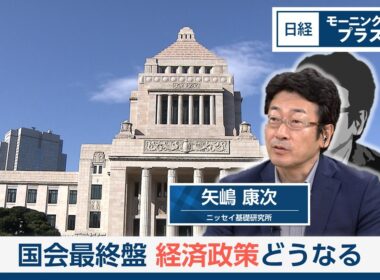 国会最終盤　経済政策どうなる【日経モープラFT】