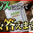【生放送】皆さんからいただいた質問に答えます！