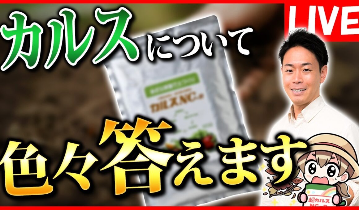【生放送】皆さんからいただいた質問に答えます！