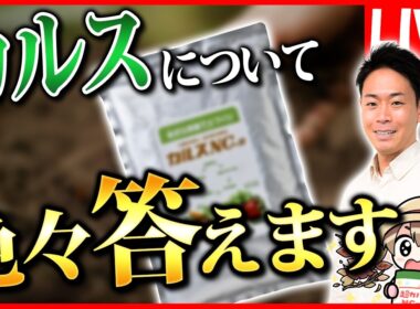 【生放送】皆さんからいただいた質問に答えます！