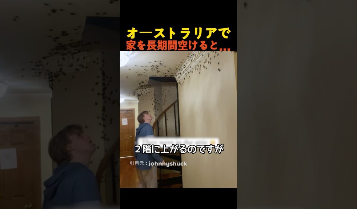 オーストラリアで家を長期間空けると…