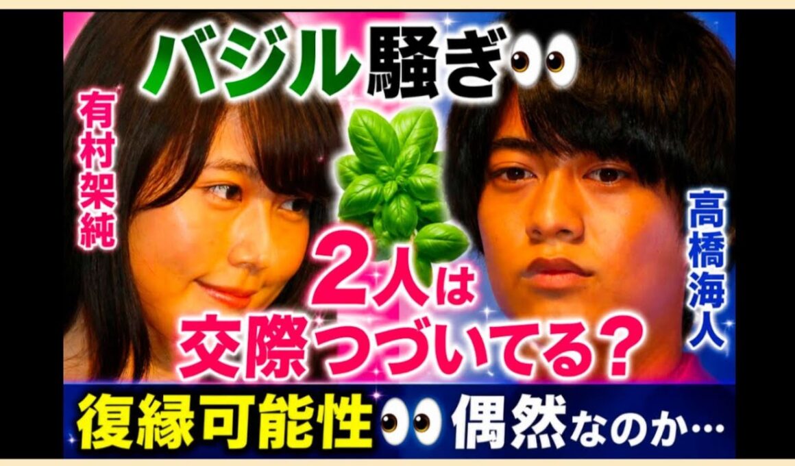 髙橋海人さん🌟有村架純さん🌟バジル騒動？？家庭菜園したい！偶然なのか必然なのか👀２人の現状は？やはり…　占うよ🔮#アストロダイス #オラクルカード#タロット#髙橋海人#有村架純#King＆Prince