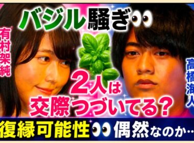 髙橋海人さん🌟有村架純さん🌟バジル騒動？？家庭菜園したい！偶然なのか必然なのか👀２人の現状は？やはり…　占うよ🔮#アストロダイス #オラクルカード#タロット#髙橋海人#有村架純#King＆Prince