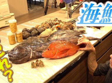 【なにこれ？】極裏ルートから仕入れた海鮮ボックスの中身が衝撃的すぎた