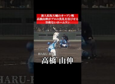 新人松坂大輔のオープン戦、高橋由伸にホームラン打たれる #shorts