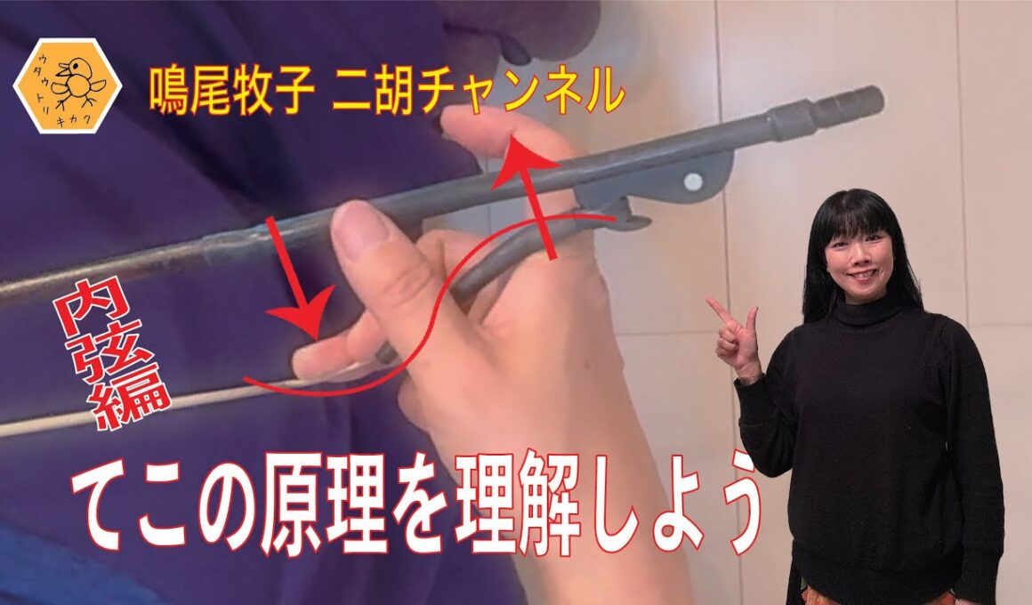 二胡についてのなるを的考察　二胡の弓　てこの原理（内弦編）