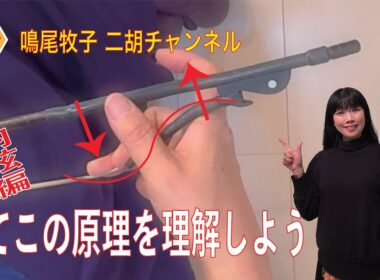 二胡についてのなるを的考察　二胡の弓　てこの原理（内弦編）